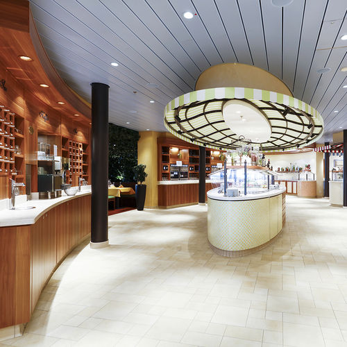 آیا میشود از سقف کاذب تایل آلومینیومی در سقف فضای کشتی های مسافربری و تجاری استفاده کرد؟